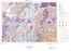 [thumbnail of carte 031J]