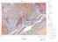 [thumbnail of carte 031I]